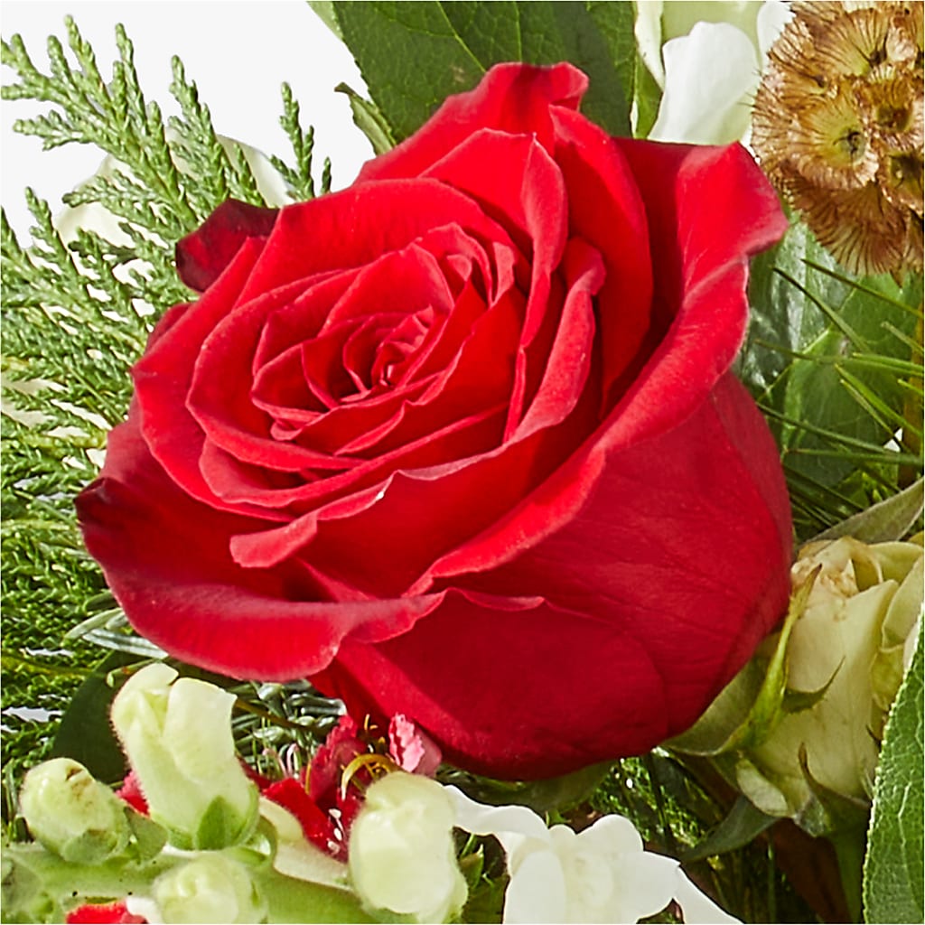 Deck the Halls Bouquet –  Safeway Norcal, Pleasanton CA