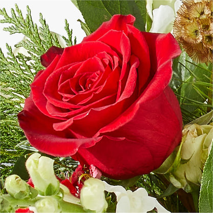 Deck the Halls Bouquet –  Safeway Norcal, Pleasanton CA