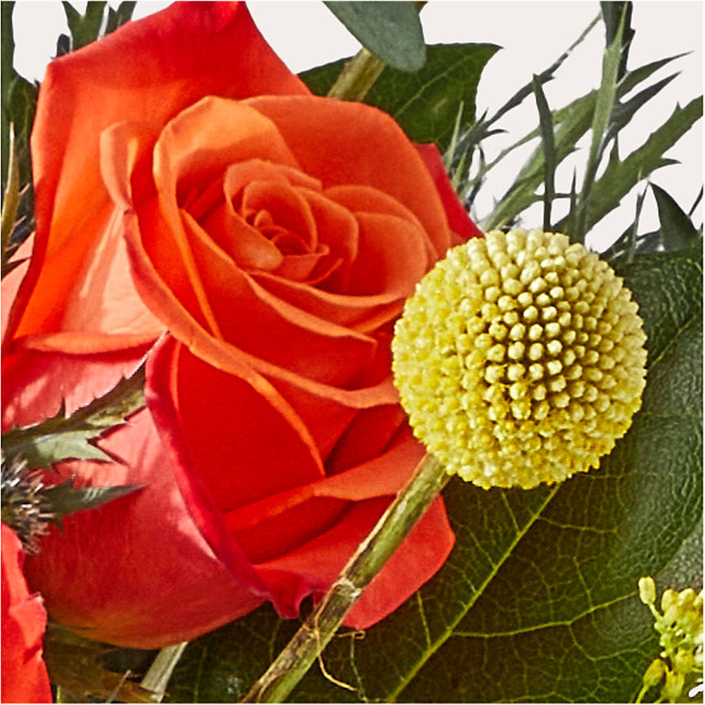 Disco Bouquet –  Safeway Norcal, Pleasanton CA
