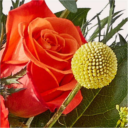 Disco Bouquet –  Safeway Norcal, Pleasanton CA