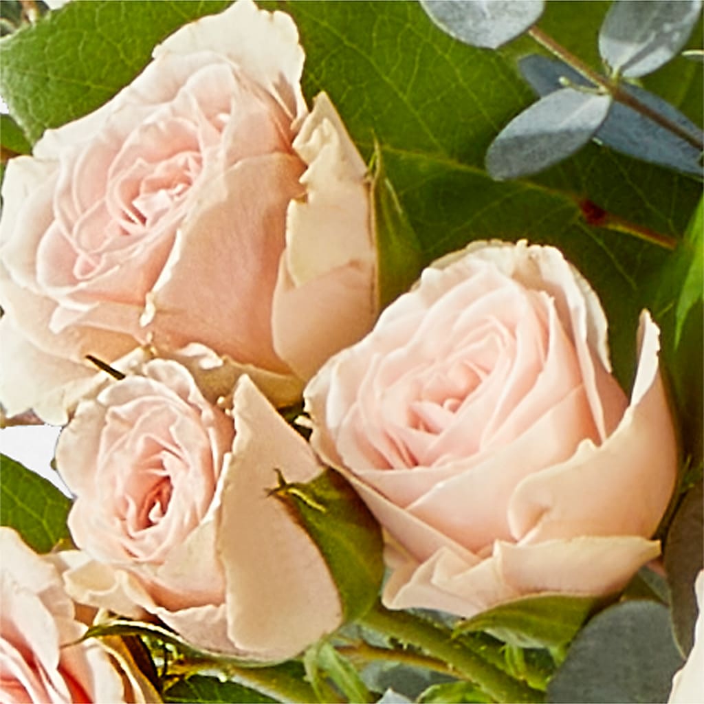 Inspired Bouquet –  Safeway Norcal, Pleasanton CA
