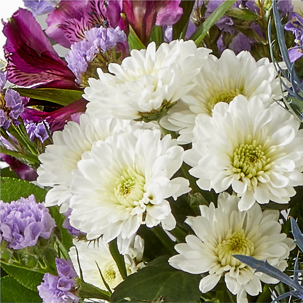 Shooting Star Bouquet –  Safeway Norcal, Pleasanton CA