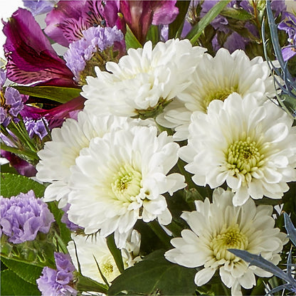 Shooting Star Bouquet –  Safeway Norcal, Pleasanton CA