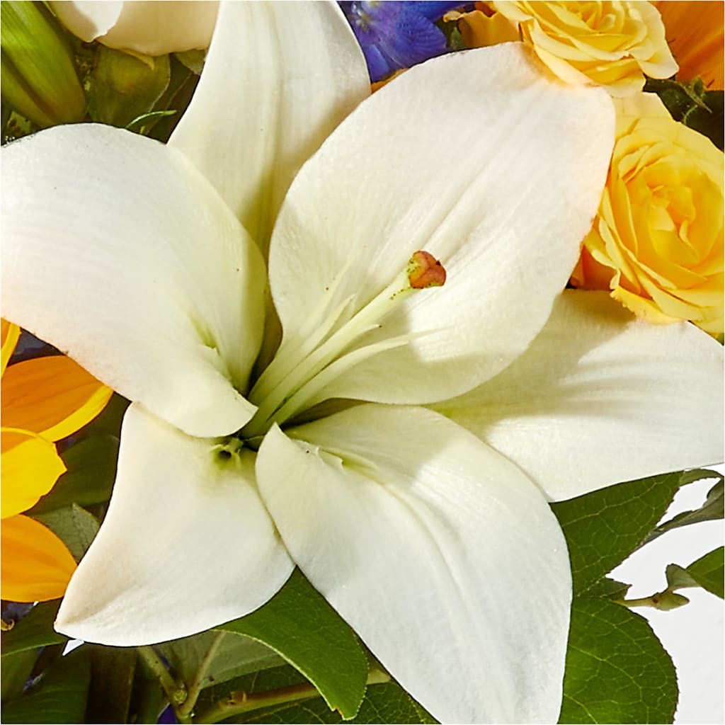Wonderfully Sunny Bouquet –  Safeway Norcal, Pleasanton CA