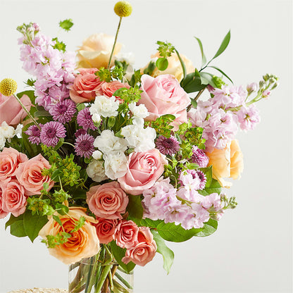 Perfect Contentment Bouquet –  Safeway Norcal, Pleasanton CA