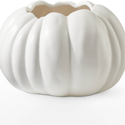 Pumpkin to Talk About Bouquet –  Safeway Norcal, Pleasanton CA